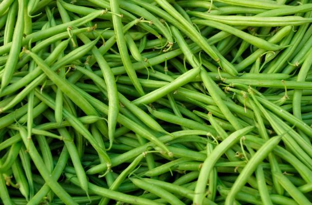 mpasi sayur terbaik, cara olah sayur untuk bayi, bagian sayuran untuk mpasi, tips mpasi sehat, mpasi aman usia 6 bulan, sayur penyebab sembelit bayi, makanan bayi alami, mpasi bayi sehat, Bunda, si Kecil